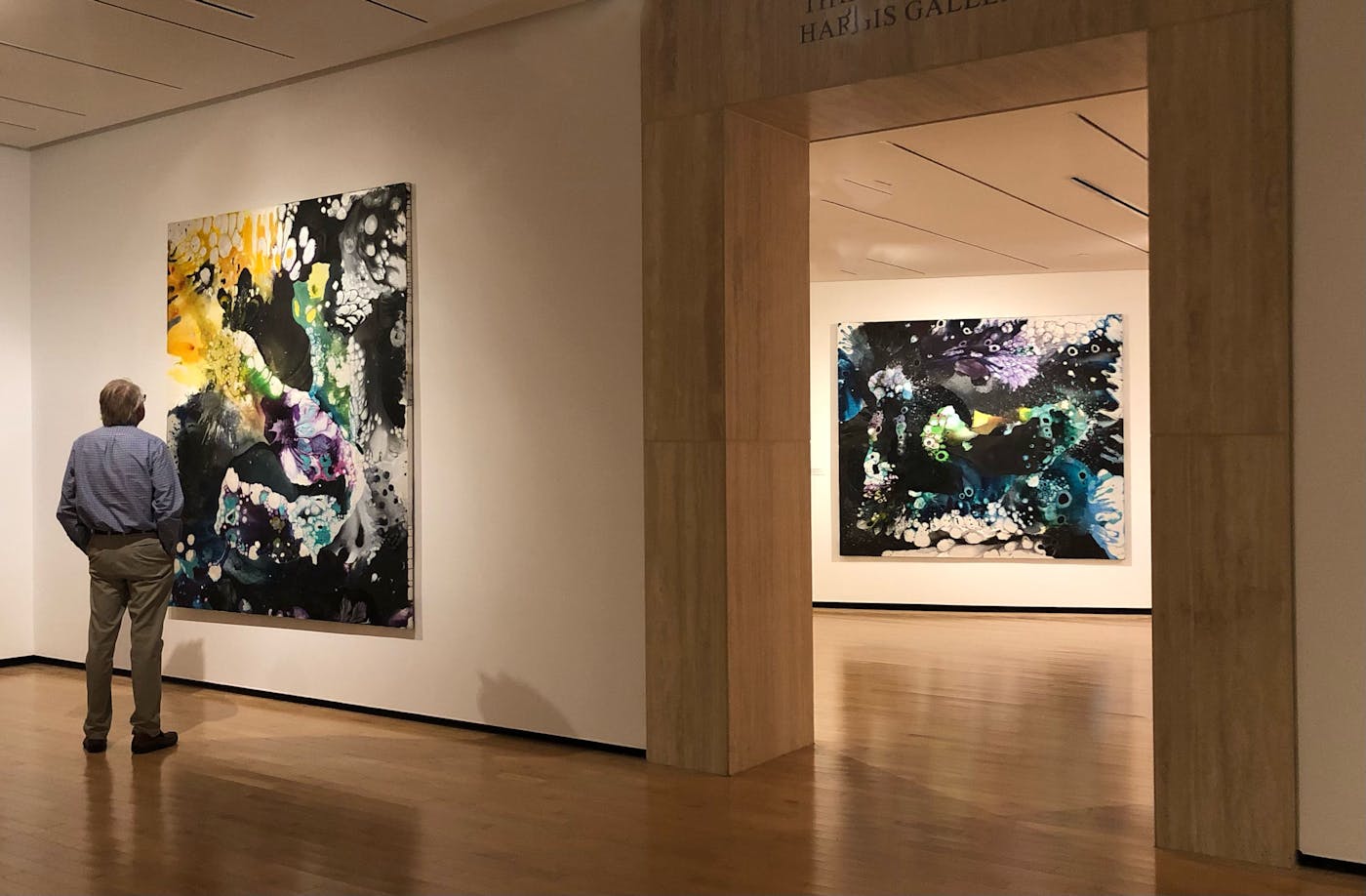 Installation View | Jules Collins Smith Museum | 2021/22