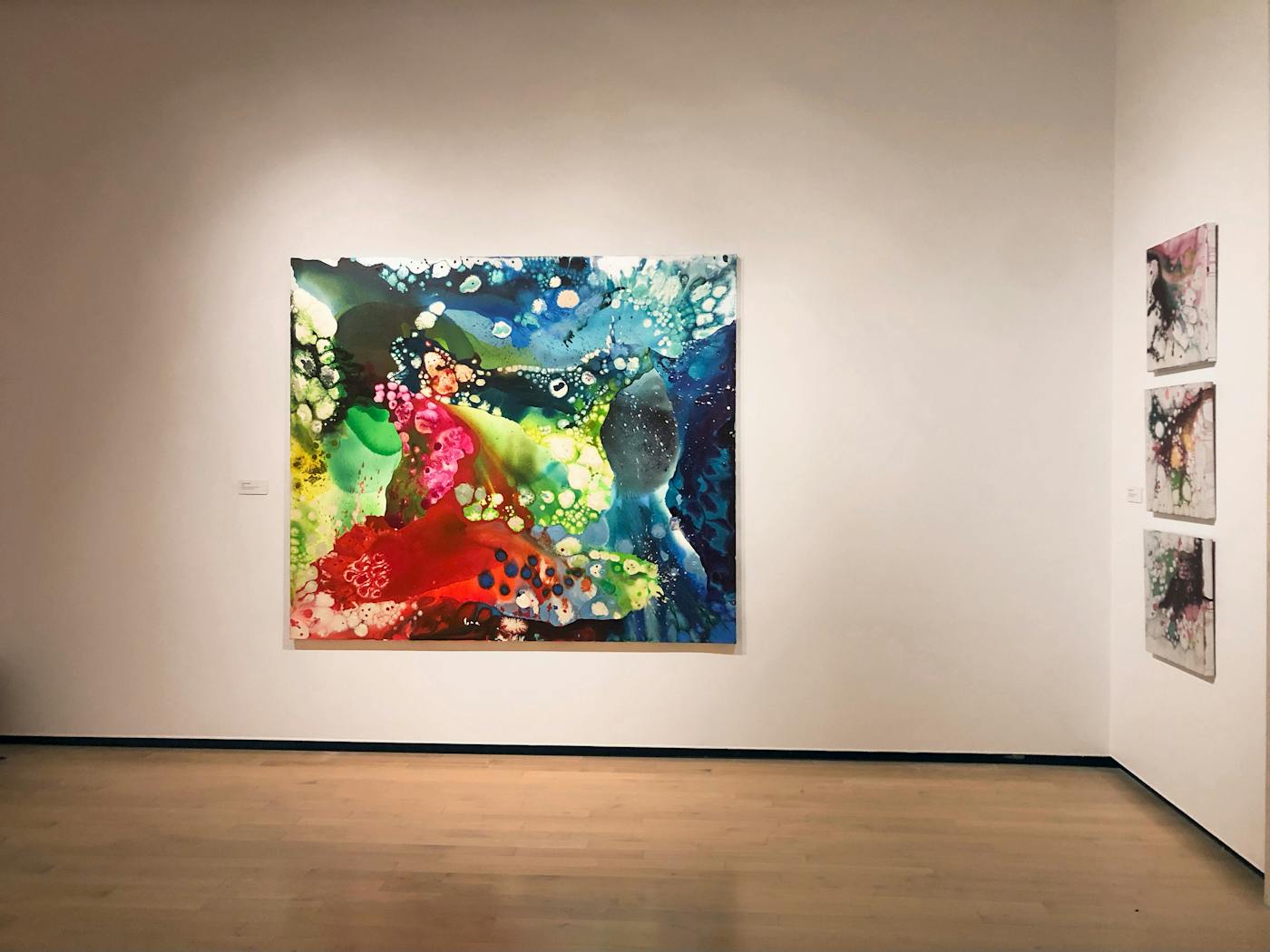 Installation View | A Floating Self | Jules Collins Smith Museum