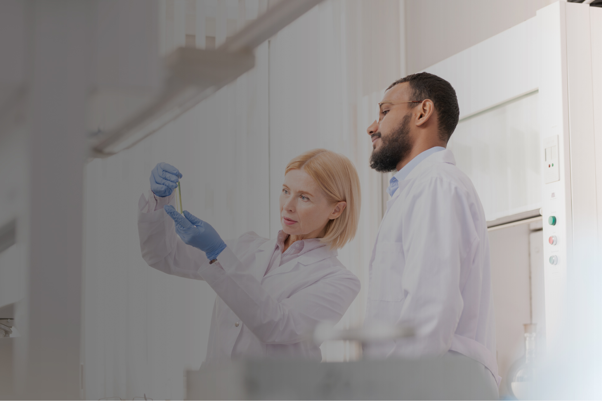 The Importance of LabTested Dietary Supplements Ensuring Your WellBeing