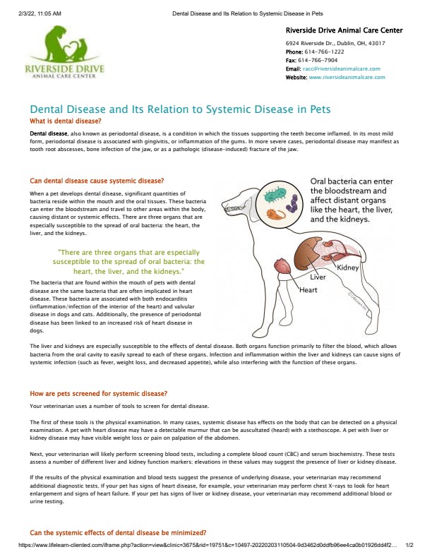 Dental Disease and Its Relation to Systemic Disease in Pets