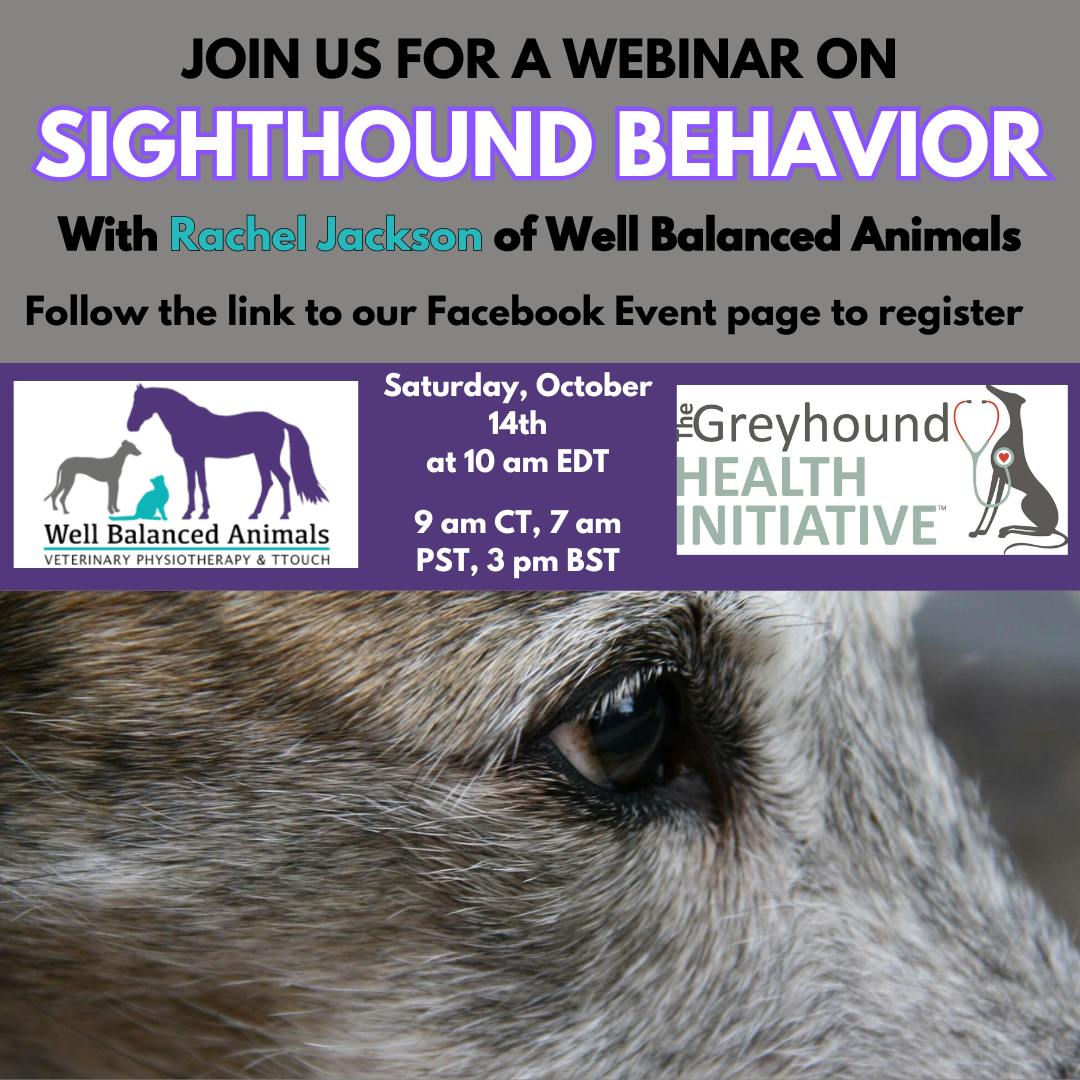 Sighthound Behavior Webinar