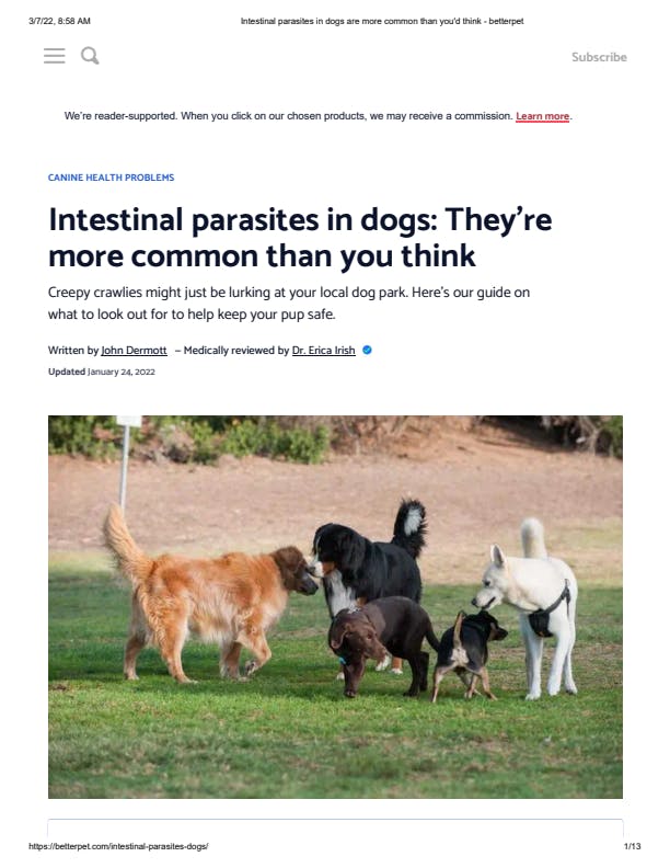 Intestinal parasites in dogs: They’re more common than you think