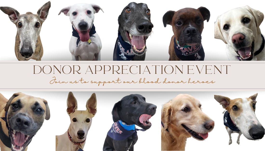 The Greyhound Health Initiative