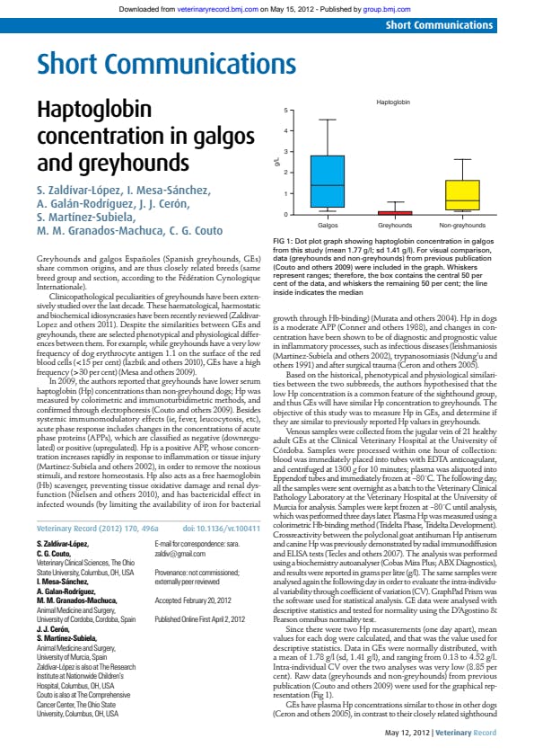 Haptoglobin concentration in galgos and greyhounds