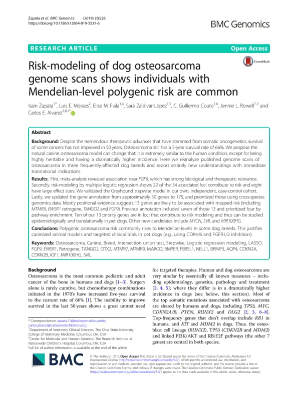 Risk-modeling of dog osteosarcoma genome scans shows individuals with Mendelian-level polygenic risk are common