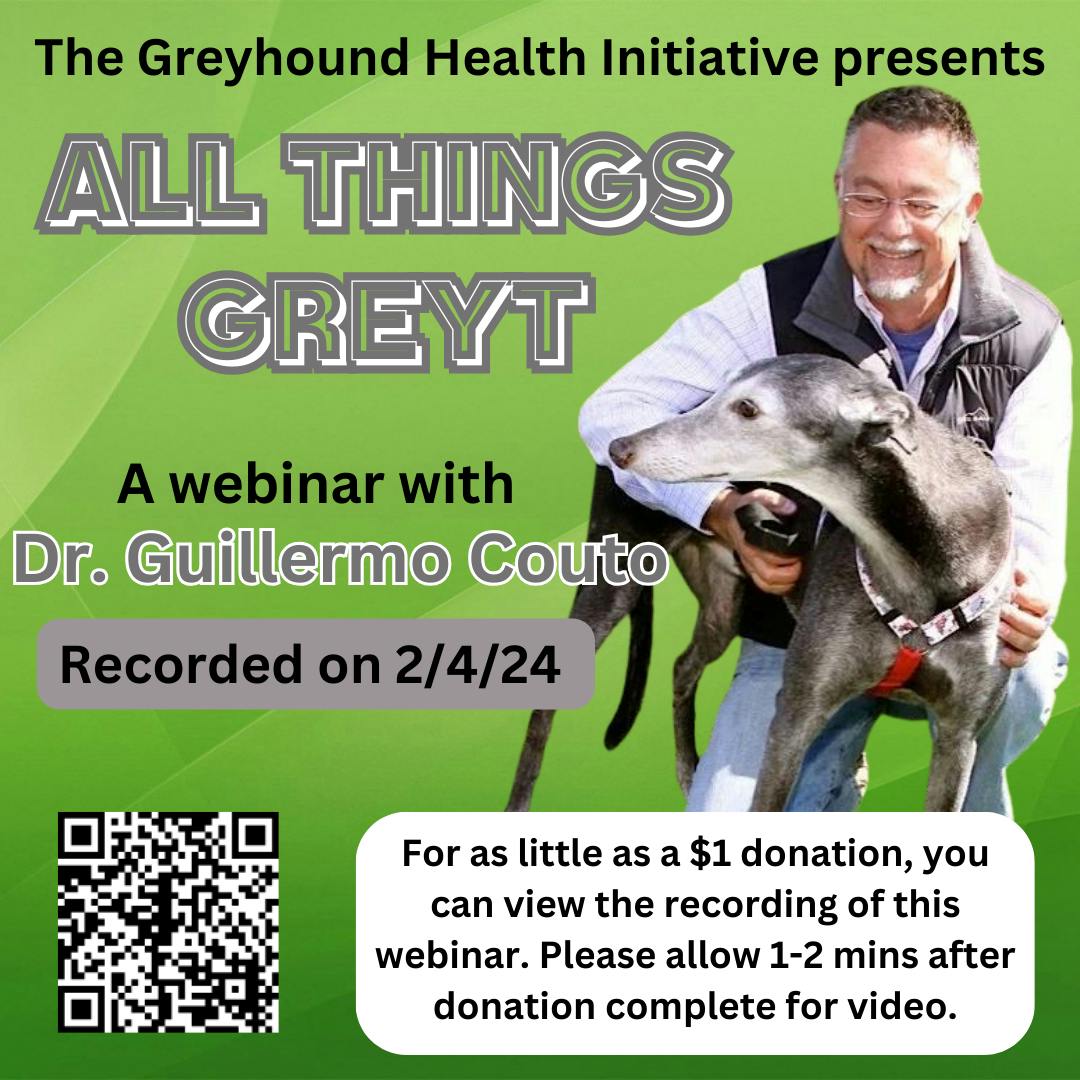 Recording Available - All Things Greyt Webinar with Dr. Guillermo Couto