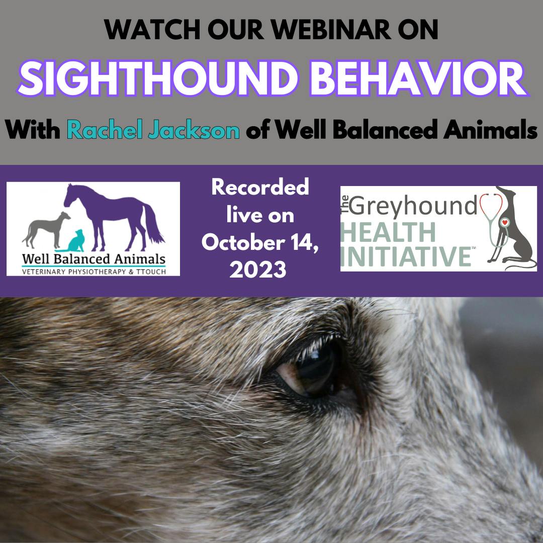 Sighthound Behavior Webinar