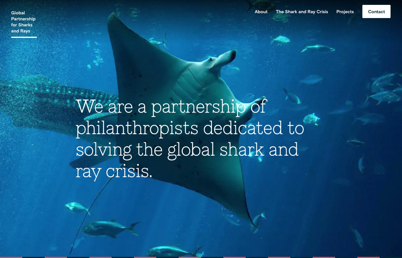 Global Partnership for Sharks and Rays