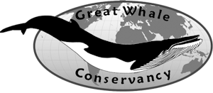 Great Whale Conservancy