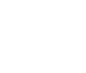 New England Franklin Park Zoo