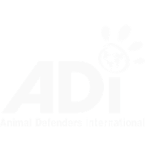 Animal Defenders International