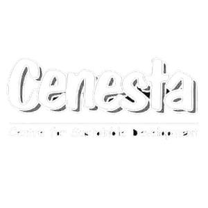 Centre for Sustainable Development and Environment