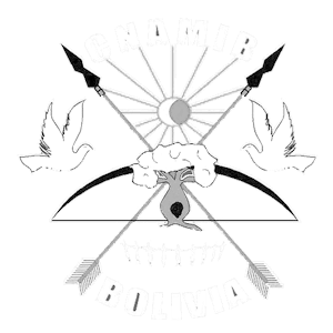 Confederación Nacional de Mujeres Indígenas de Bolivia
