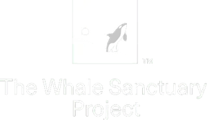 The Whale Sanctuary Project