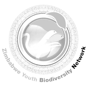 Zimbabwe Youth Biodiversity Network