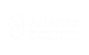Alianza Mesoamericana de Pueblos y Bosques 