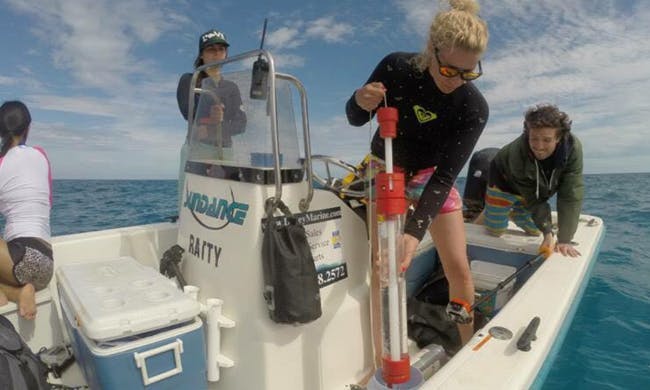 eDNA: A New Way to Assess Sharks for Conservation