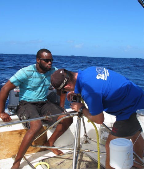 Sustainable Shark and Ray Management Regulations and Continued Population Monitoring in Tobago
