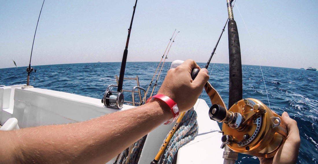 rod and reel fishing charters