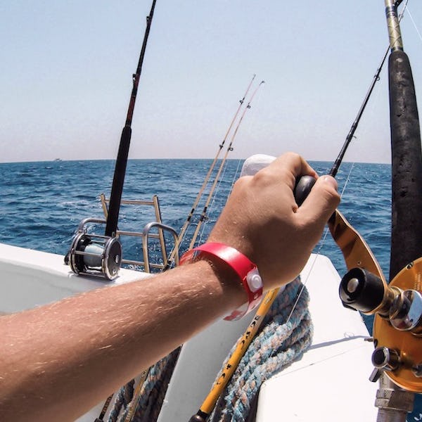 Full day game fishing on Wahoo IV at 40% off