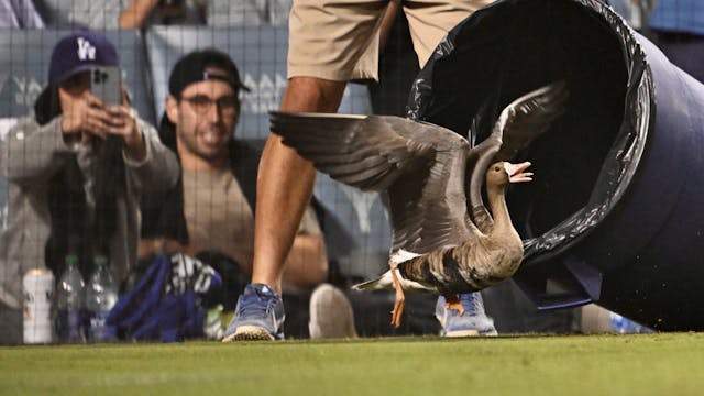 SOURCE: KEITH BIRMINGHAM/GETTY IMAGES