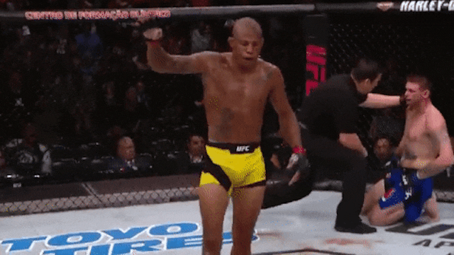 Guide to MMA