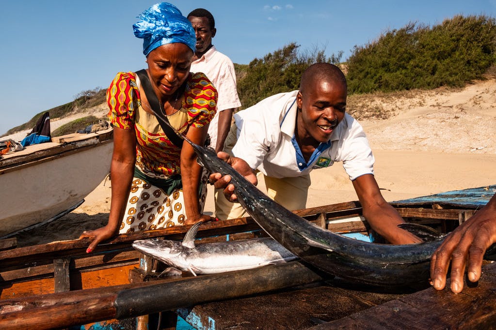 Scaling Community-Based Fisheries Management in Mozambique