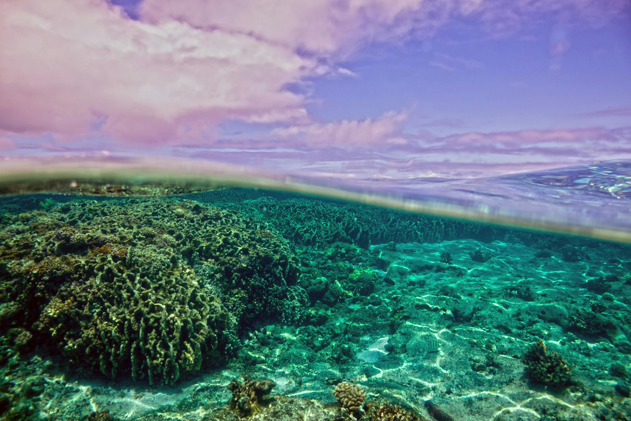 Hawai‘i Partnerships for Ocean Stewardship