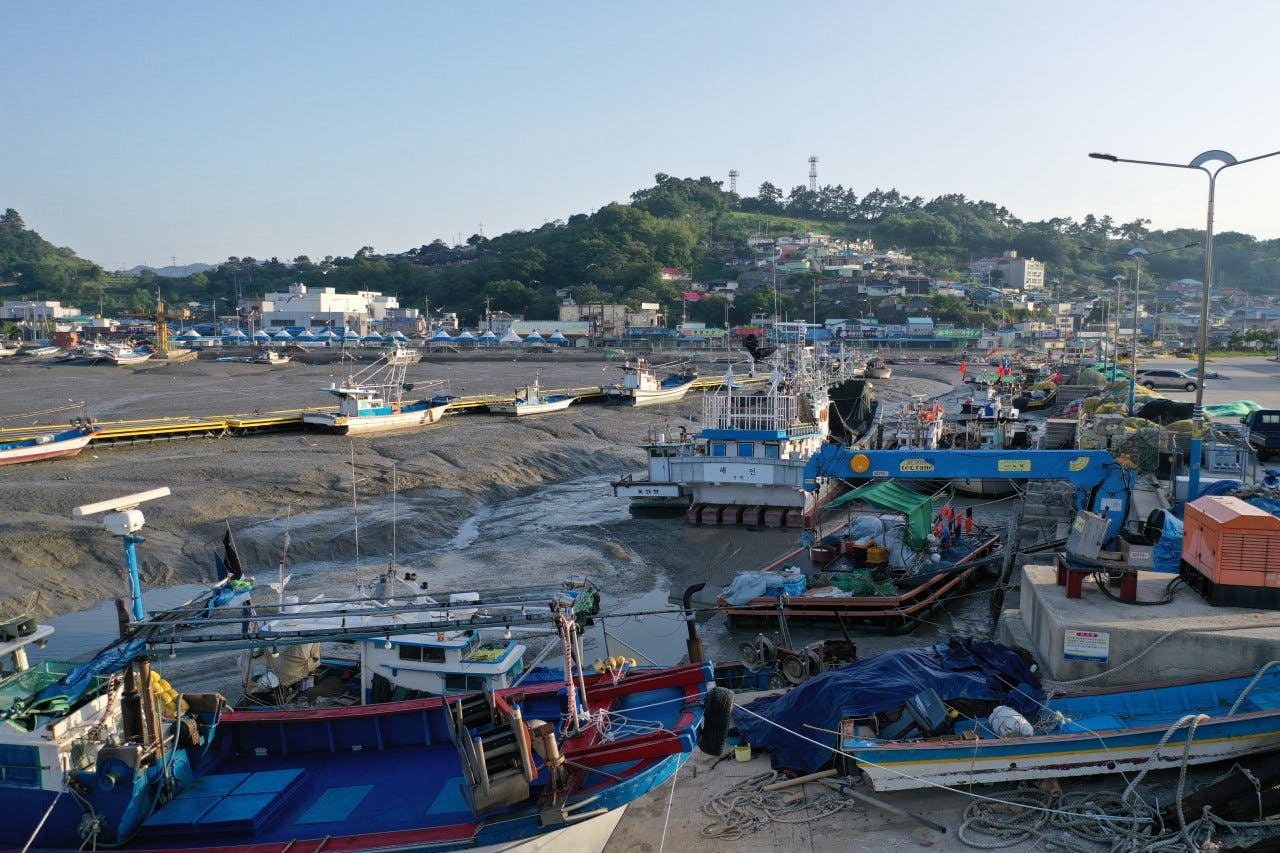 Korea Coalition against IUU: Towards Sustainable and Ethical Fisheries in Korea