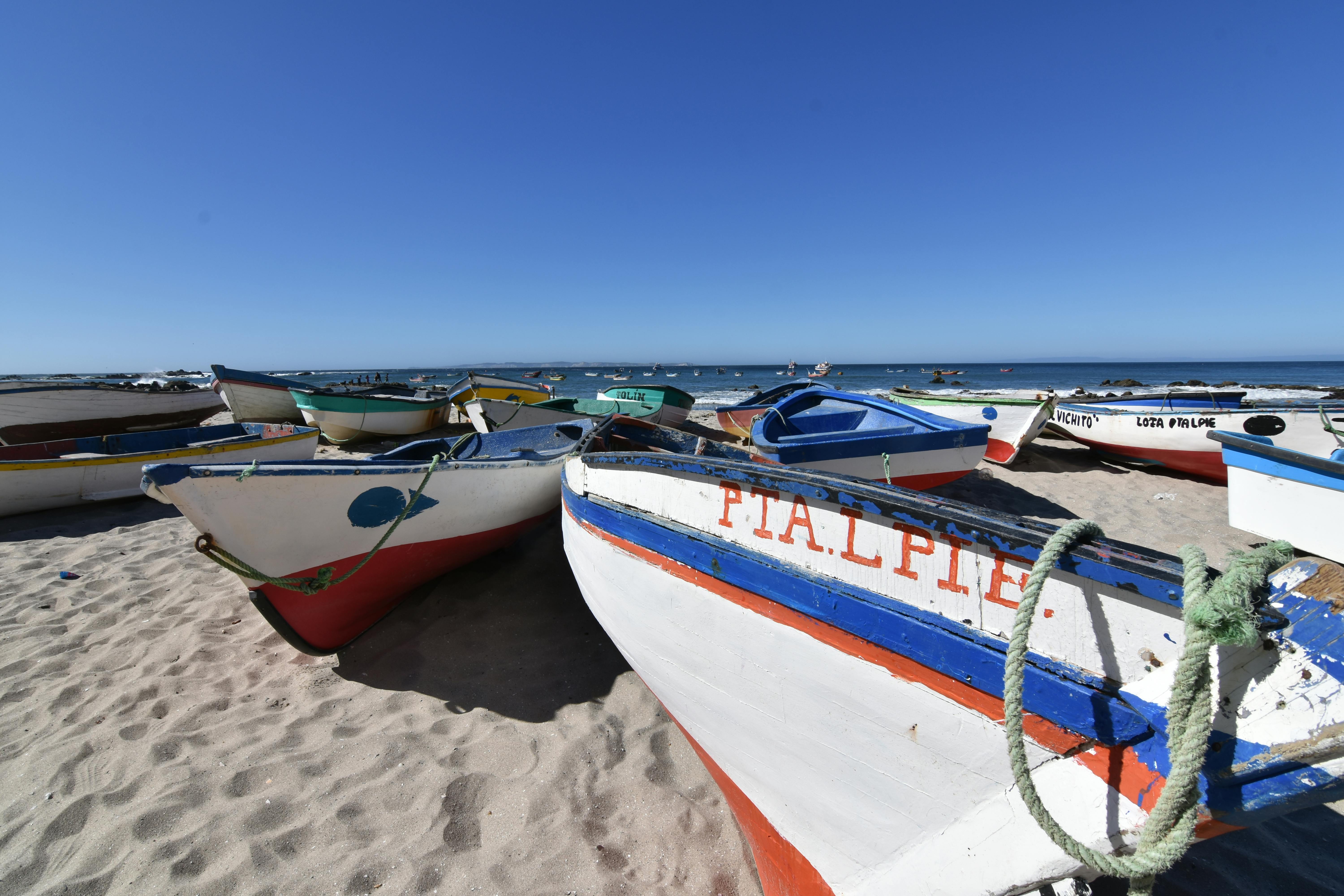 A Policy-Oriented Toolkit for Reducing Illegality in Small-Scale Fisheries in Chile