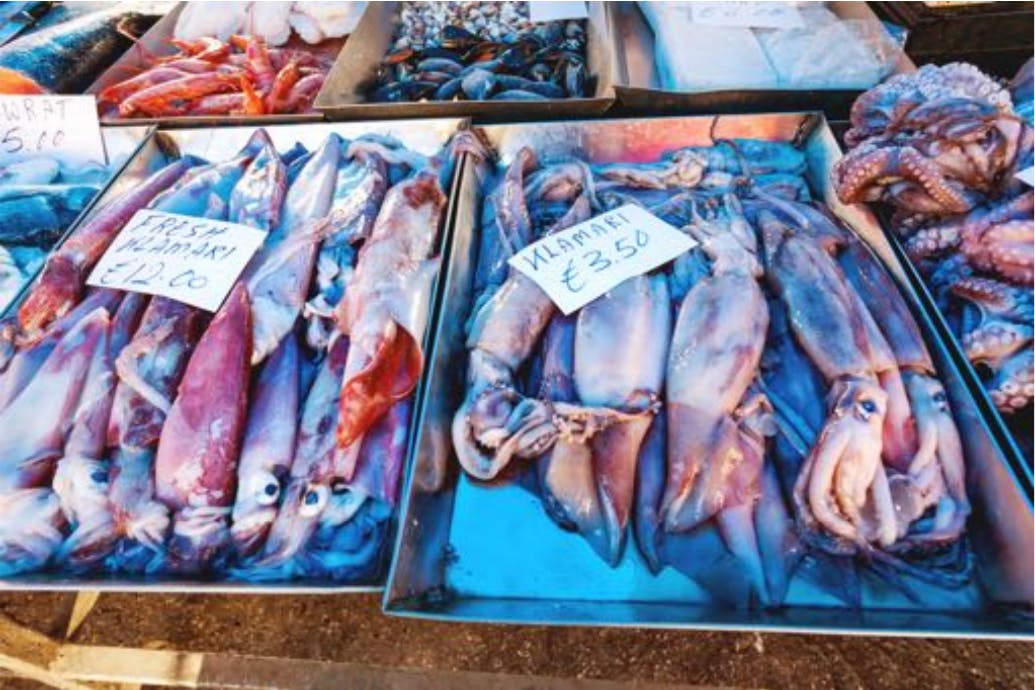 Combating IUU Fishing in South American Squid Fisheries