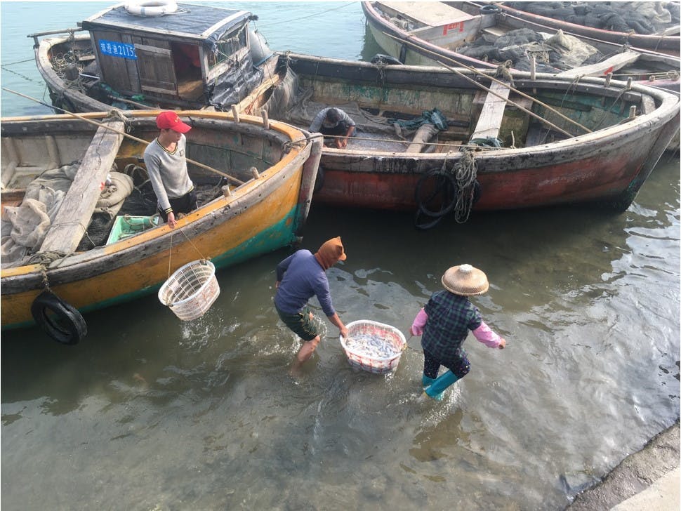 Fish for Future: A Collaborative Ecological Fisheries Strategy for China