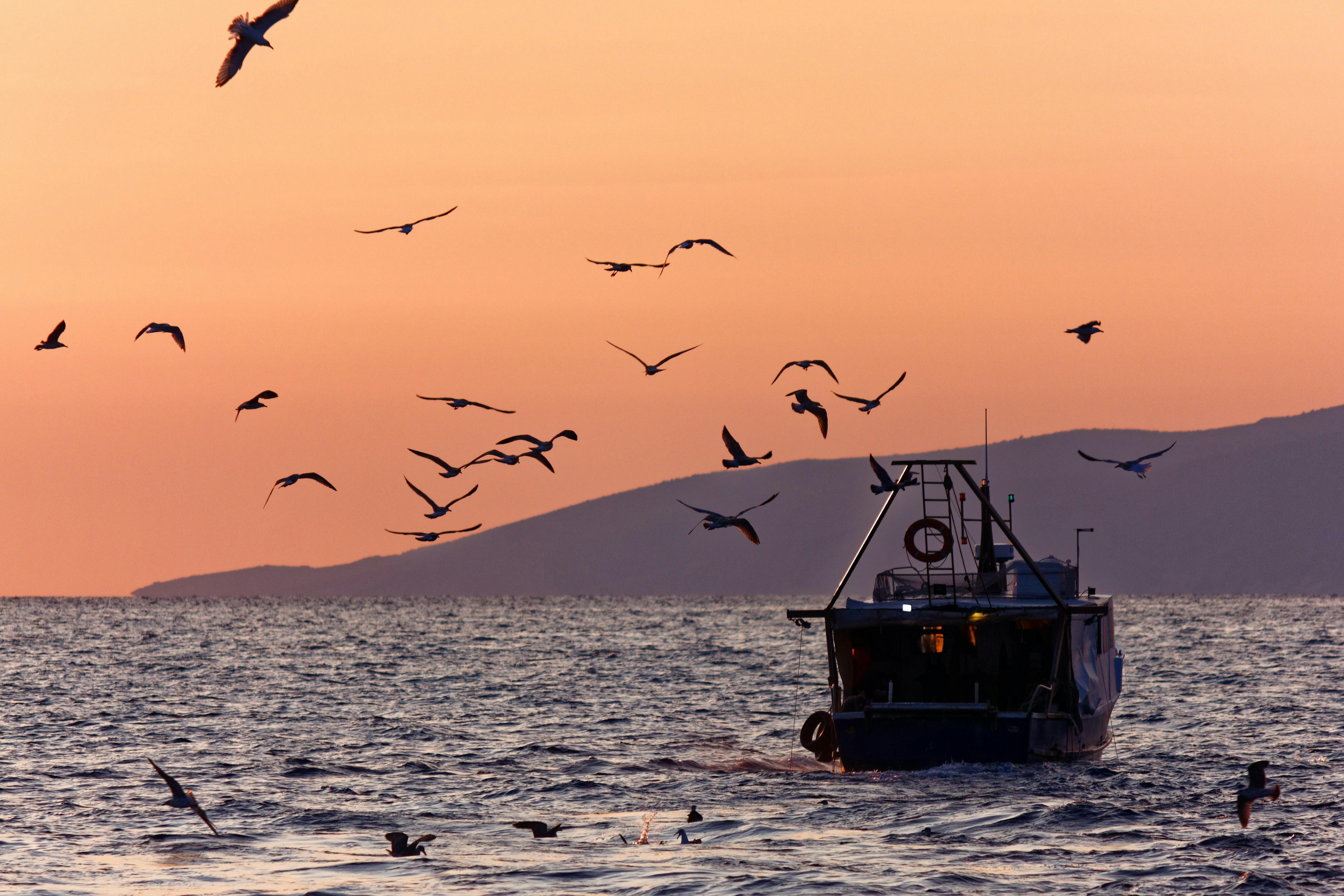 Charting a Course to Sustainable Fisheries Post-Brexit