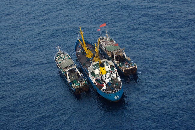  Controlling Illegal Fishing in Europe