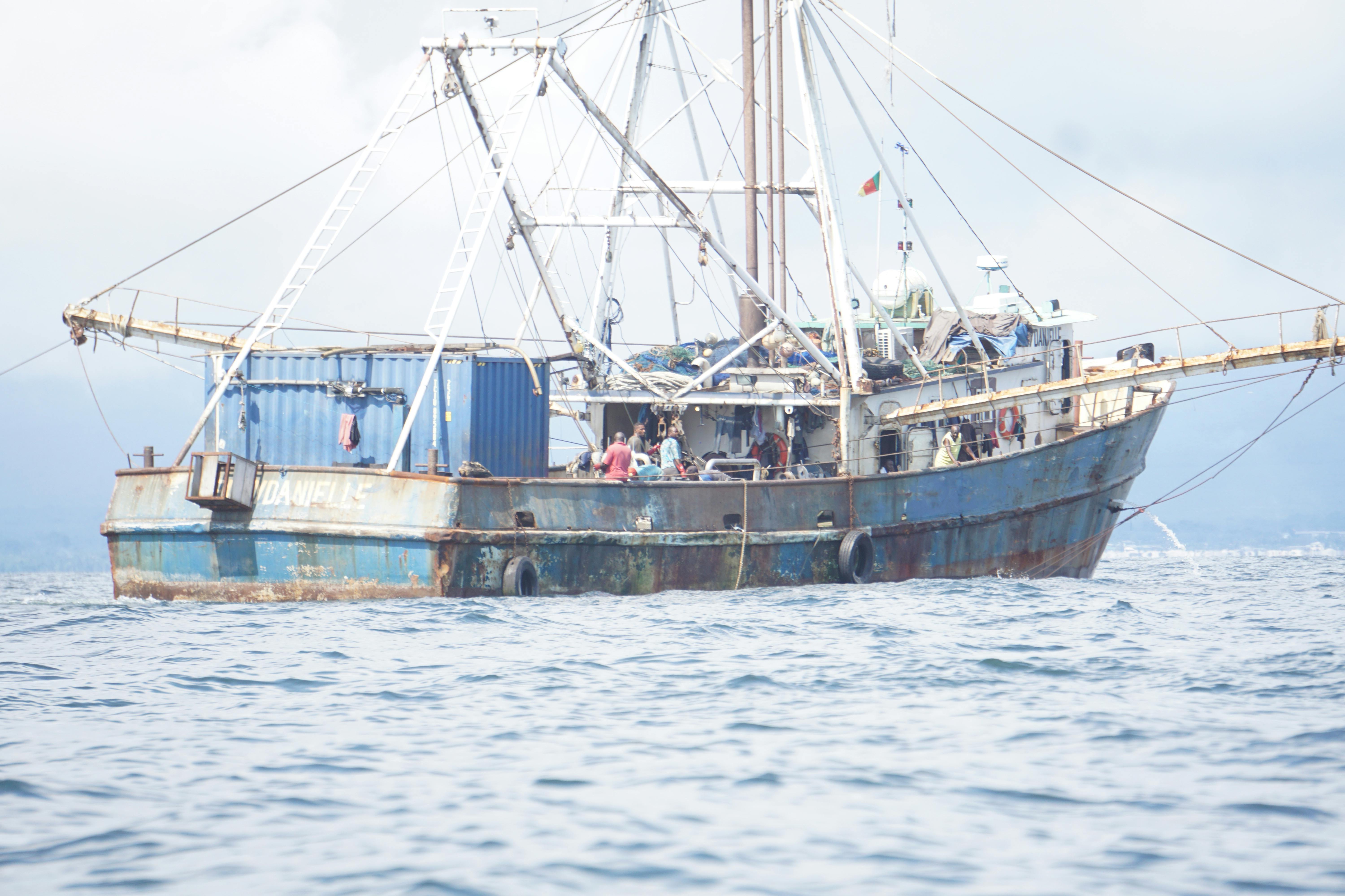 Improving fishery management and stopping IUU fishing in Cameroon