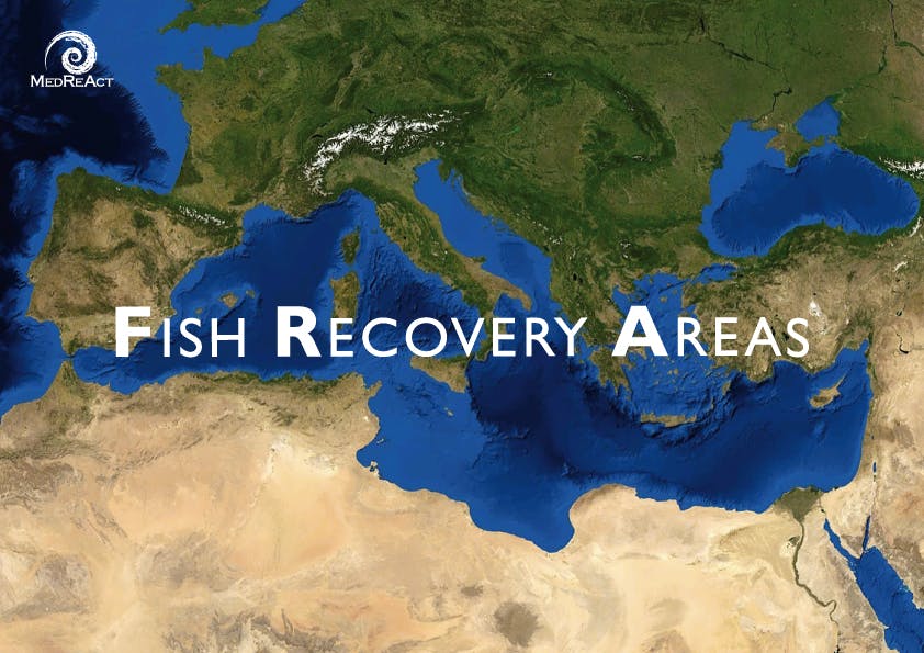 Protecting Mediterranean Vulnerable Marine Ecosystems