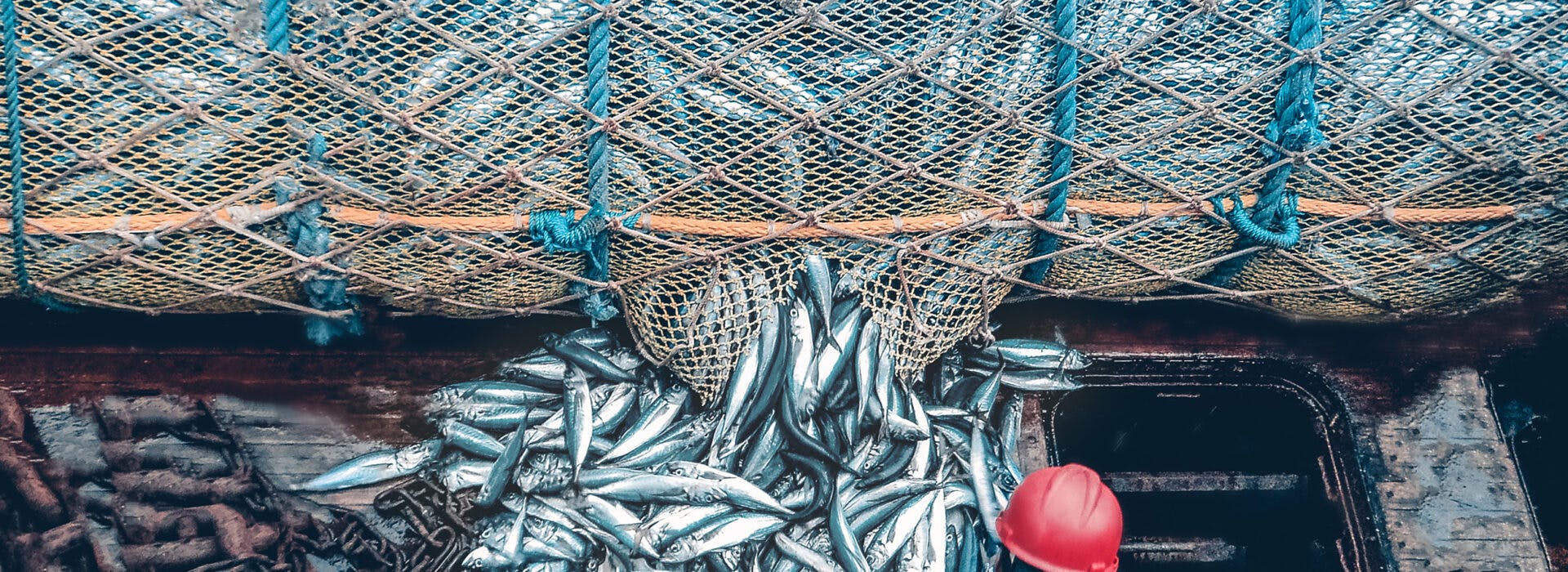 Turning the Tide for EU fisheries