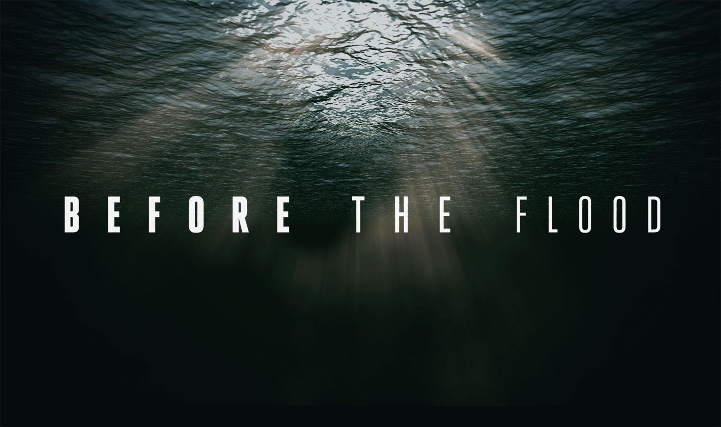 Before The Flood