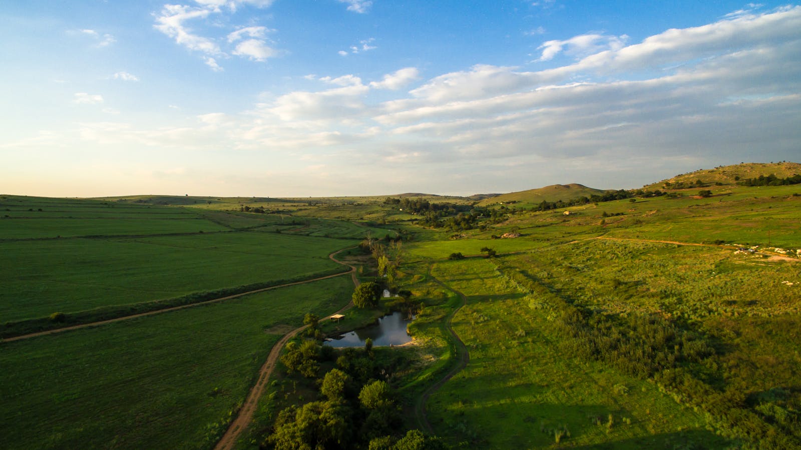 Highveld Grasslands