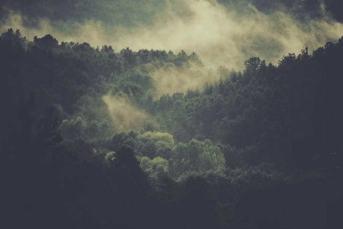 Sign the Global Deal for Nature