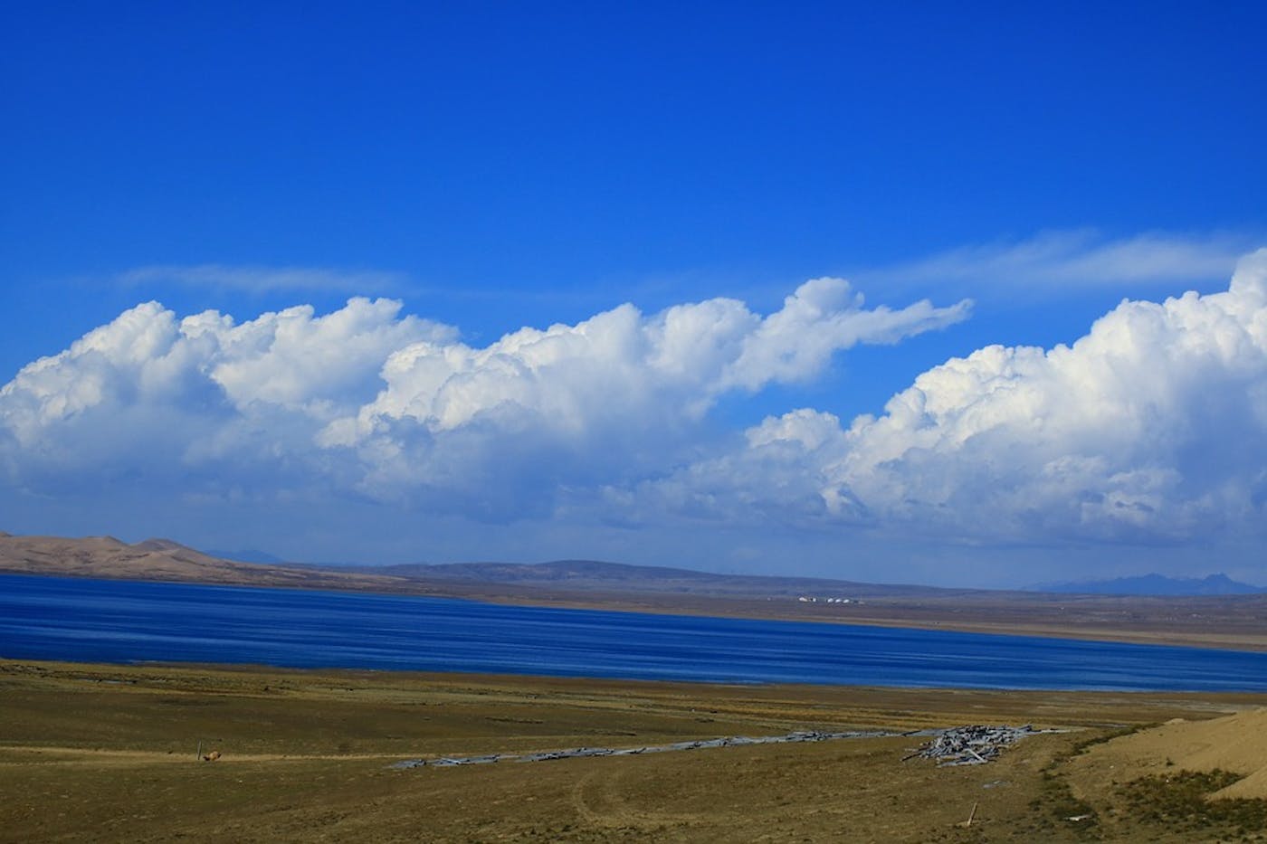 Greater Tibetan Plateau Alpine Meadows & Shrublands (PA40)