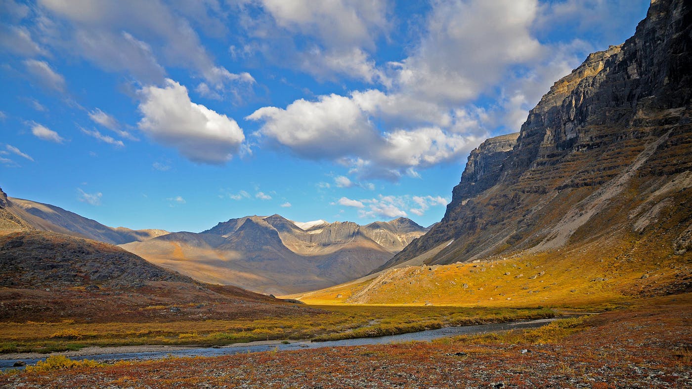 North Alaskan Tundra (NA3)