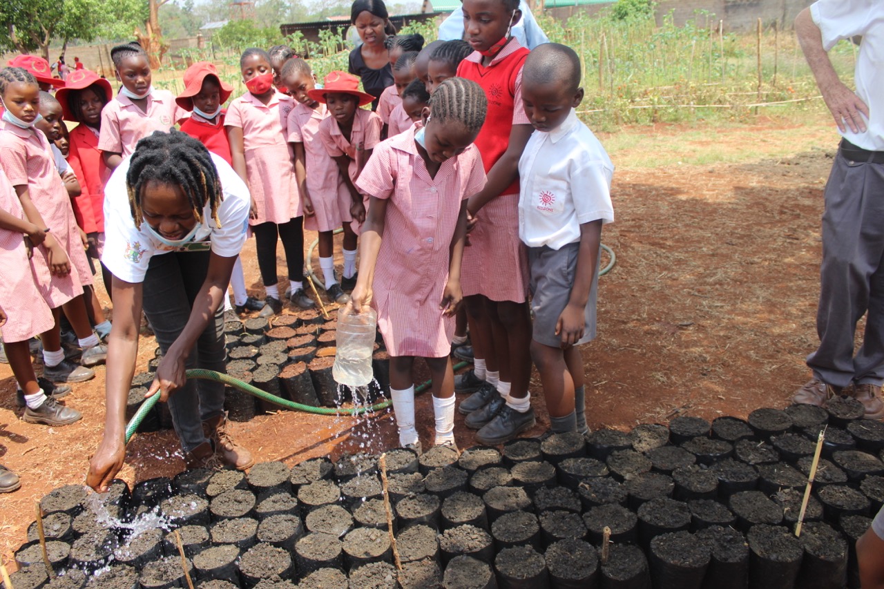 indigenous tree nursery establishment at a school. Image credit Courtesy of Research and Education for Sustainable Actions