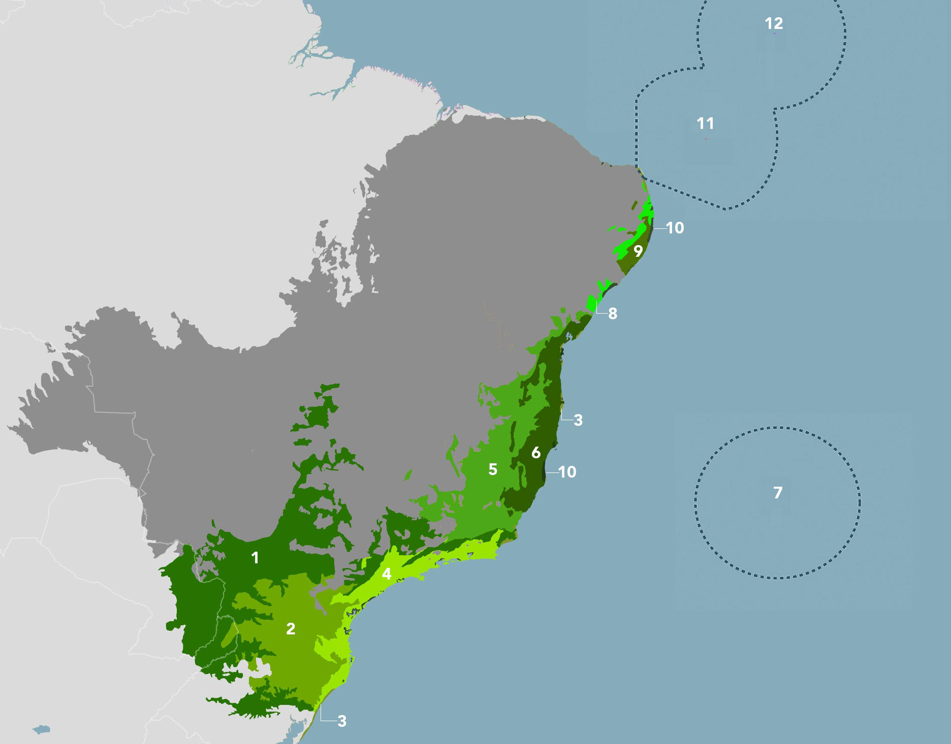 Brazilian Atlantic Moist Forests (NT14)