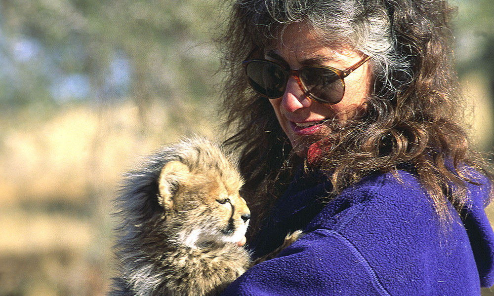 Dr. Laurie Marker and Chewbaaka the orphaned cub who would become CCF's first ambassador. Image Credit: Cheetah Conservation Fund.