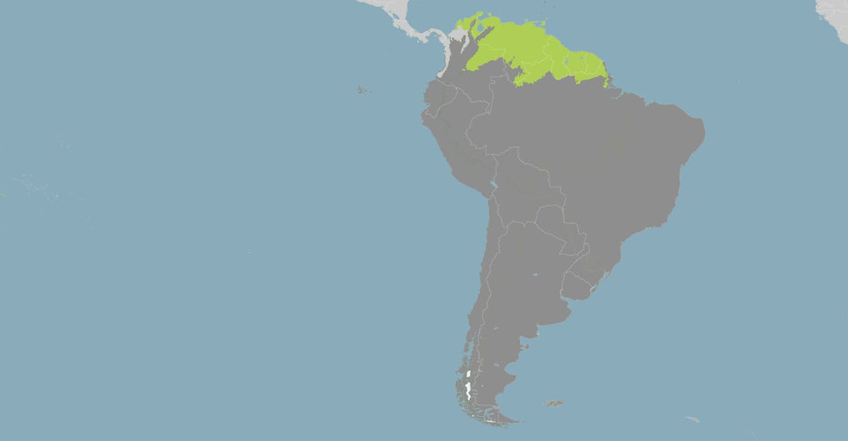 Upper South America