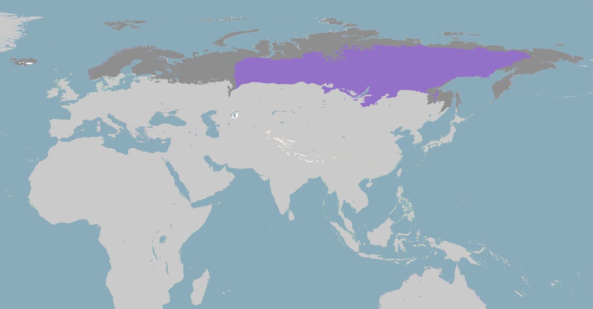 Siberia & East Boreal Forests