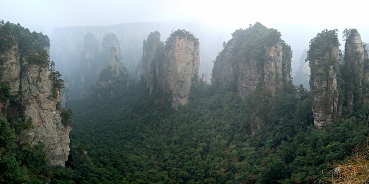 Guizhou & Yunnan Subtropical Forest Plateaus (PA52)