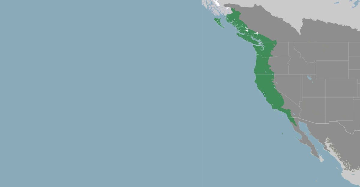 North Pacific