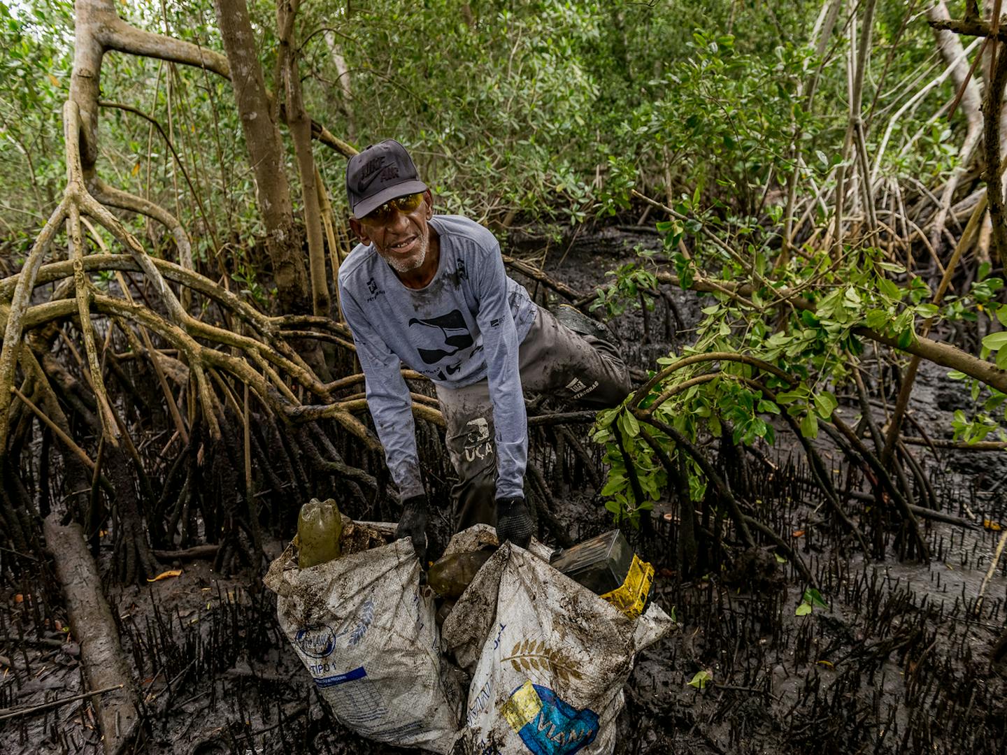 Brazilian crab collectors protect their income by cleaning mangroves